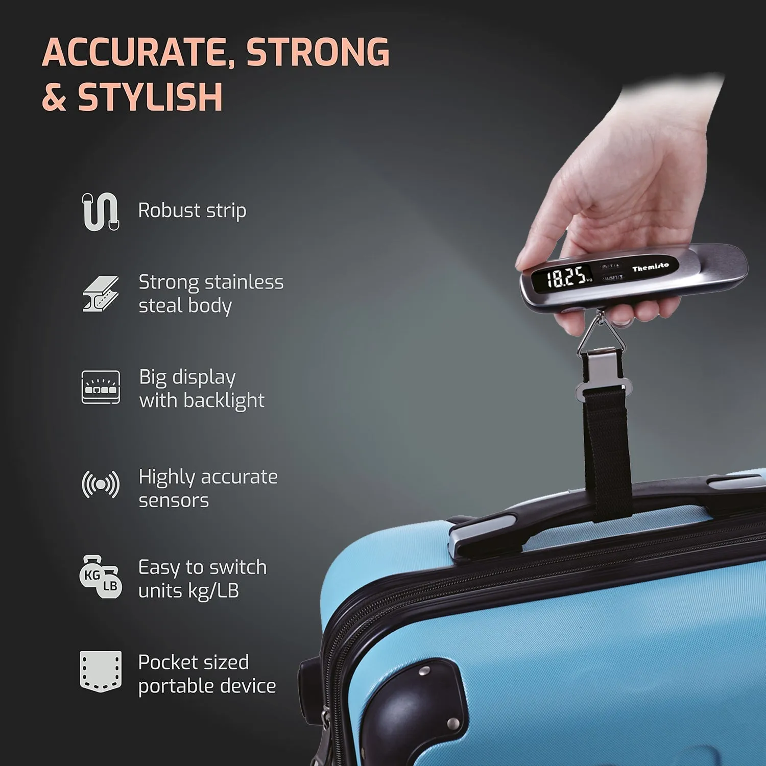 Themisto TH-WS11 Digital Luggage Scale with Target Value Setting (50kg), Silver